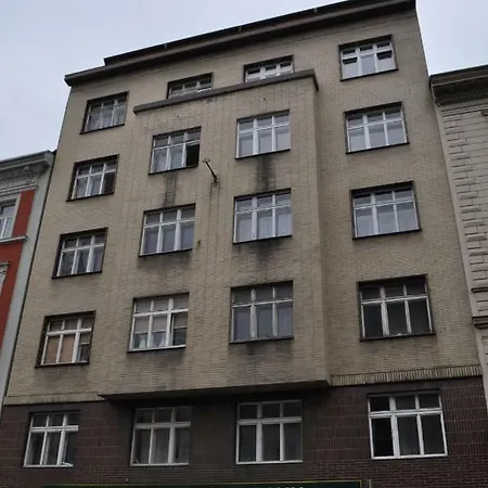 Kokedama Smichov Πράγα