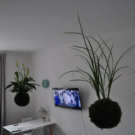 Kokedama Smichov Apartment Prague