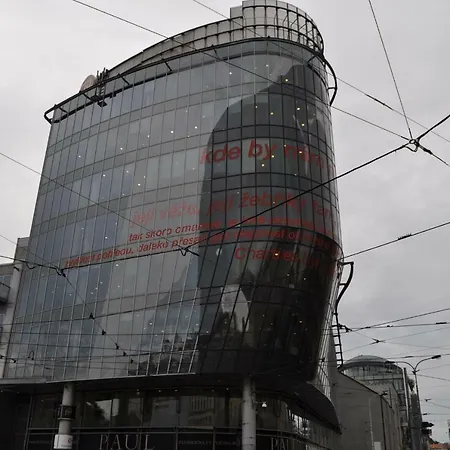 Kokedama Smichov פראג